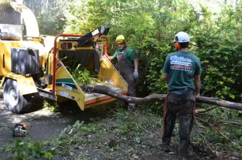 tree services Red Bluff